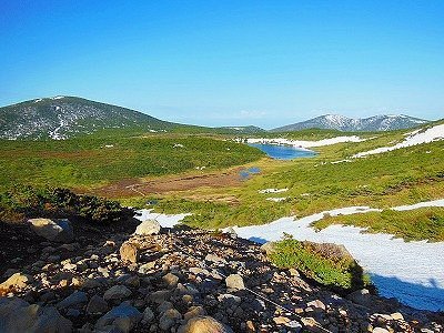 🌸 아라카와 벚꽃 제방 공원(아라카와 사쿠라즈츠미 코엔) 이미지 10
